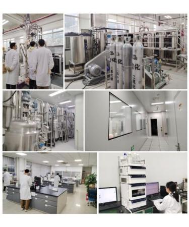 Akersunder PQQ 10g - 98% Pure PQQ for Enhanced Energy & Cognitive Support - International Shipping - Buy Online on GoSupps.com