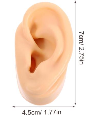Safigle Silicone Human Ear Model for Piercing Practice | Realistic Fake Ear for Acupuncture & Jewelry Display | Teaching Materials & Instructions - Buy Online on GoSupps.com