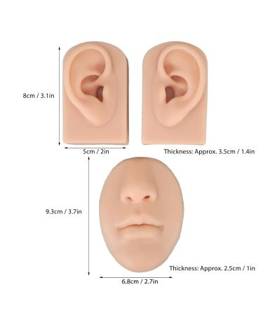Buy 2 Silicone Ear Models for Piercing & Jewelry Presentation | Realistic Soft Flexible Artificial Ear - Medium Skin Color - Buy Online on GoSupps.com