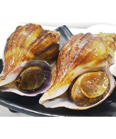 WENXUANSU: 8 ounce(227 grams)Vacuum packaged conch abalone snack from China Sea - Buy Online on GoSupps.com