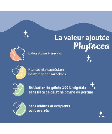 Phytocea - Bacopa Monnieri Ginkgo Biloba Organic Magnesium Vitamin B12 B9 B1| Anti-Stress and Focus Dietary Supplement | Memory and Concentration | 90 Vegan Capsules Made in France - Buy Online on GoSupps.com