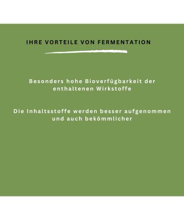 Lunatura Fermented Ginkgo Capsules - Vegan & Gluten-Free Ginkgo Nut & Biloba Extract - 60 Capsules for 2-Month Supply - International Shipping Available - Buy Online on GoSupps.com