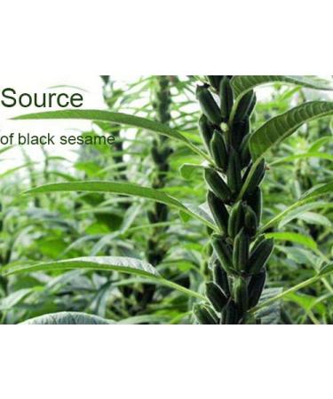 Organic Black Sesame Powder - No Sugar, Low Temp Roasted, HALAL, NON-GMO - 12.36oz (350g) - Imported from Taiwan - Buy Online on GoSupps.com