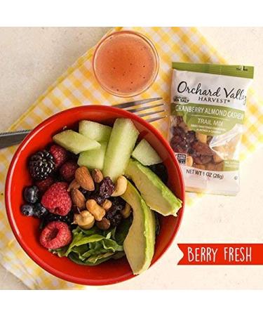 Orchard Valley Harvest Cranberry Almond Cashew Trail Mix - 1oz Bags (Pack of 15) | Non-GMO, No Artificial Ingredients - Buy Online on GoSupps.com