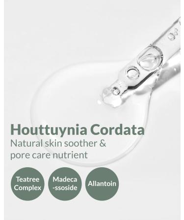 Heartleaf Soothing Moisture Ampoule | 80% Houttuynia Cordata Tea Tree & Panthenol - Sebum Control - 1.35 fl. oz - Clinically Tested - Buy Online on GoSupps.com