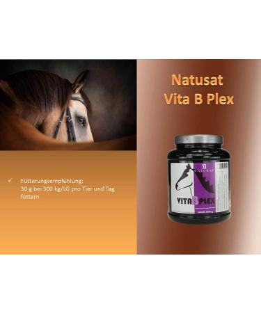 NATUSAT Vita B Plex Pellets 1000g | Premium Vitamin B for Horses | International Shipping Available - Buy Online on GoSupps.com