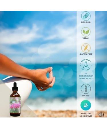 Ashwagandha Herb Tincture Extract 2 oz 2 Fl Oz (Pack of 1) - Buy Online on GoSupps.com