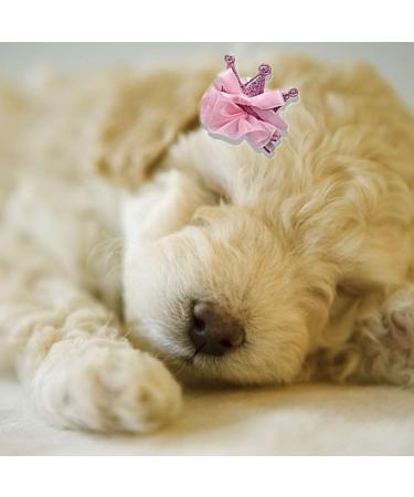 NA 10Pcs Dog Hair Bows Lovely Pets Hair Clips Dog Cat Puppy Grooming Pet Hair Accessory for Cats Dogs Kitten Puppies - Buy Online on GoSupps.com
