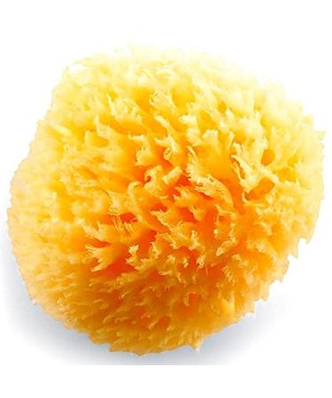 Natural Sea Sponge for Gentle Baby Bath | Hypoallergenic & Eco-Friendly - Buy Online on GoSupps.com