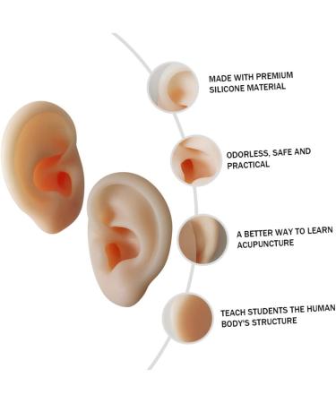 Tofficu 1 Pair Silicone Ear Picking Practice Tunnels | Simulated Auditory Meatus Model for Ear Display | Artificial Display Ear Mold - Silica Gel - Buy Online on GoSupps.com