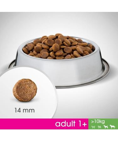 Mars Dog Adult 1 + M/L | 1.4 kg Dry Dog Food - Buy Online on GoSupps.com