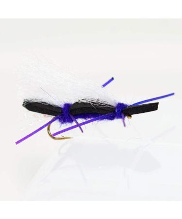 Outdoor Planet Fly Fishing Flies Assortment Set | Dry Wet Nymphs Streamers Wooly Buggers Hopper Caddis | Trout Steelhead Bass Lure Pack - 8 Chubby Chernobyl Ant - Buy Online on GoSupps.com