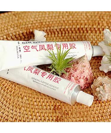 PLAT Firm Germinazione dei semi: 1 unit Lankui colla per Tillandsia o di un impianto generale 60ML 2 oz Stati Uniti d'America il trasporto Libero - Buy Online on GoSupps.com