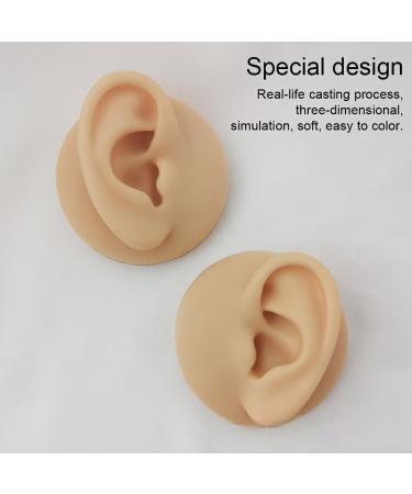 WEHOMY Silicone Left Ear Model for Teaching Instruction - Realistic 3D Display Tool Skin Color - Buy Online on GoSupps.com