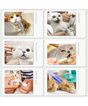 Fanme Anti-Scratch Cat Boots - Pet Grooming Silicone Paw Protector for Home Bathing & Shaving - Buy Online on GoSupps.com