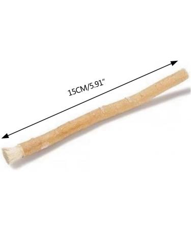 Eco-Friendly Compact Wooden Toothbrush | Gentle & Sustainable Oral Care - Buy Online on GoSupps.com