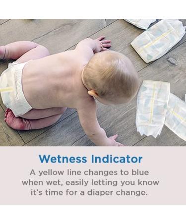 Mama Bear Plush Protection Size 3 Diapers - Hypoallergenic & Ultra-Soft, Dermatologist Tested, 40 Count - For 16-28 lb Babies - Buy Online on GoSupps.com