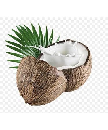 Coconut Milk Powder 500 g - Buy Online on GoSupps.com