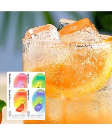 ZEESOON Sugar-Free Kombucha Powder - Instant Fermented Prebiotics & Probiotics from Korea | 17 kcal Lemon Earl Grey Tea - 10 Sticks - Buy Online on GoSupps.com