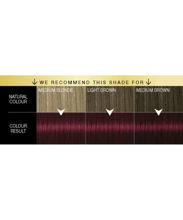 Schwarzkopf Oleo Intense Red Hair Dye 3-Pack Permanent Oil Colour No Ammonia Covers Greys Burgundy Red 4-23 Burgundy Red 3 count (Pack of 1) - Buy Online on GoSupps.com