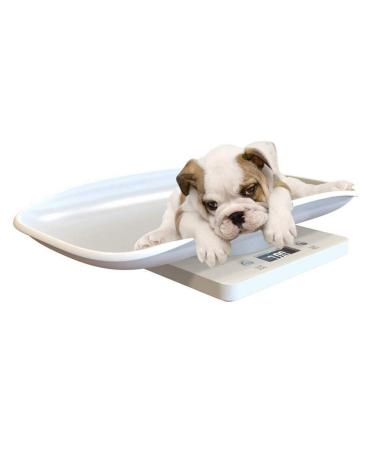 Digital Pet Scale 22lb Capacity | Accurate Small Pet Dog Cat Scale - Buy Online on GoSupps.com