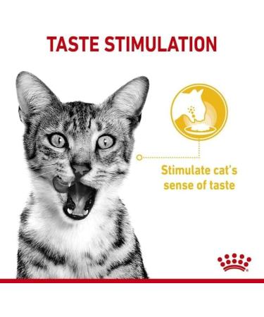ROYAL CANIN Adult Sensory Taste In Gravy Wet Cat Food Pouches - 12 x 85g - Buy Online on GoSupps.com