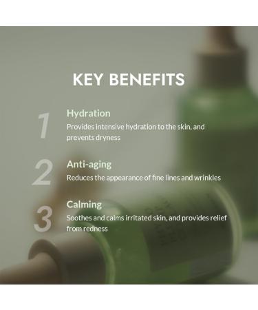 MIZON Phyto Plump Collagen Serum - Vegan Anti-Wrinkle & Hydrating 30ml | 88% Natural Ingredients with Adenosine - Buy Online on GoSupps.com