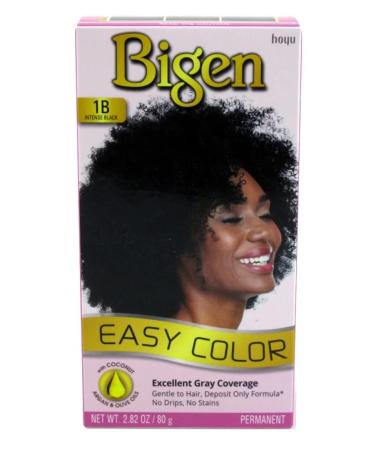 Bigen Easy Color Permanent Hair Dye with Aloe & Olive Oil - Intense Black 2.82 Oz | International Shipping Available - Buy Online on GoSupps.com