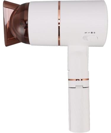 Ionic Hair Blow Dryer Negative Ions Blow Dryer Cold Hot Air Thermostatic Lazy Hair Dryer Salon Styling Tool Fast Drying for Hair Care(US Plug 110v) - Buy Online on GoSupps.com