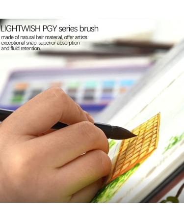 LIGHTWISH Watercolor Brushes - Professional Mop Round Paintbrush for Art Painting, Illustration & Animation - Art Supplies for Rendering - RX12 - Buy Online on GoSupps.com