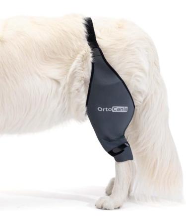 Ortocanis Knee Brace for Dogs - Right Hind Leg Size S | Cruciate Ligament Patellar Luxation & Osteoarthritis Support - Buy Online on GoSupps.com