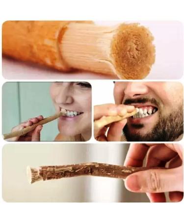 Billion Deals Natural Traditional Miswak (sewak) Peelu Chewing Stick Toothbrush for Whiter Teeth -15pc
