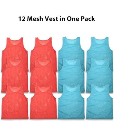 12 Pc Team Pinnies Set - Nylon Mesh Vests for Youth - Basketball, Football, Soccer Practice Jerseys - Red & Light Blue - Buy Online on GoSupps.com