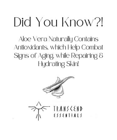 Transcend Cosmetics Hydrating & Repairing Face Moisturizer with Aloe Chamomile and Hyaluronic Acid - Buy Online on GoSupps.com