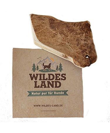 Wild Land - Hirschweih Schaufel - S - naturally dropped antlers - pure natural product without additives - odorless does not splinter - supports the tooth cleaning - antlers in antlers.