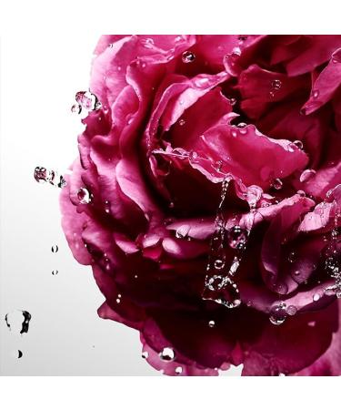 Davidoff Cool Water Sea Rose Eau de Toilette Floral Women's Perfume With Notes of Nashi Pear Peony & Musk Long Lasting Fragrance - Packaging May Vary 1 Fl Oz (Pack of 1) - Buy Online on GoSupps.com