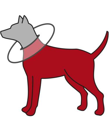 Trixie 19423 Protective Collar - Size S (30-34 cm Neck Circumference) - Grey | International Shipping Available - Buy Online on GoSupps.com