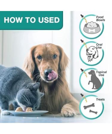 RiRywony Health Omega Oil for Dogs 2 Packs 0807 Dogs and Cats - Pets A019 - Buy Online on GoSupps.com