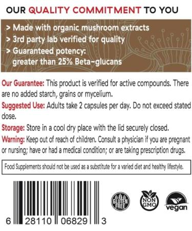 Lions Mane Brain and Focus Supplements - 120 Mushroom Extract Capsules for Cognitive Health - Non GMO & Gluten Free - Buy Online on GoSupps.com