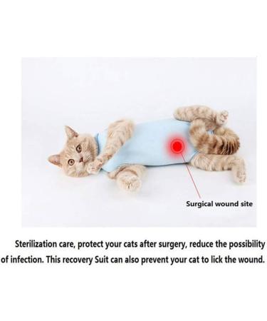 Cat Professional Surgical Recovery Suit Cat Clothes for Abdominal Wounds or Skin Diseases (M Blue) 1.36 kg (Pack of 1) Blue - Buy Online on GoSupps.com