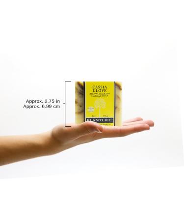 Plantlife Cassia Clove Bar Soap 6-Pack - Moisturizing Handcrafted Soap with Plant-Based Ingredients - Made in California - 4oz Bars (Pack of 6) - Buy Online on GoSupps.com