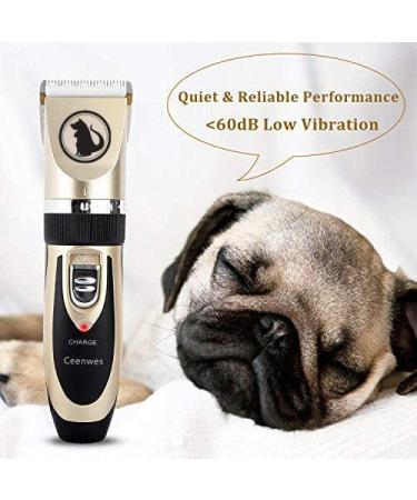 Ceenwes Rechargeable Pet Clippers with Storage Case | Low Noise Professional Dog Grooming Tool | Cordless Trimmer with Comb Guides and Scissors for Dogs, Cats & More | Gold - Buy Online on GoSupps.com
