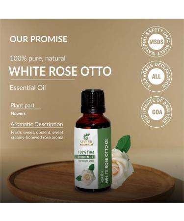 White Rose Otto Oil 15 ML | 100% Pure Natural Rosa Alba Essential Oil | Therapeutic Grade Uncut | International Shipping Available - Buy Online on GoSupps.com
