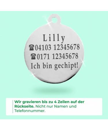 Personalized Ibera Gifts: Engraved Cat Necklace for Medium to Large Cats - Round Green Collar with Name & Address Tag - Buy Online on GoSupps.com