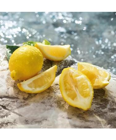 Dolce & Gabbana Light Blue Eau De Toilette Spray For Women 6.7 Fl Oz (Pack of 1) - Buy Online on GoSupps.com