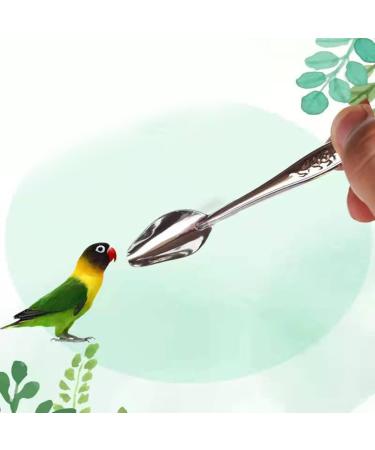 Metal Parrot Feeding Spoon - Stainless Steel Hand Feeding Spoon for Cockatiels & Small Birds - Perfect for Food Milk & Water - Buy Online on GoSupps.com