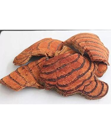 Greenlike Caulis MILLETTIAE(MILLETTIA STEM) 16 OZ  - Buy Online on GoSupps.com