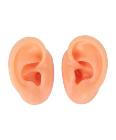 Ear Model Silicone Ear Model Human Artificial Ear Display for s IEM Earphones Display Lecturing