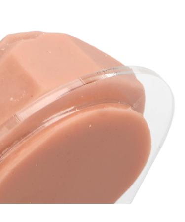 Soft Silicone Tongue Model with Acrylic Stand | Life-like Mouth Model for Jewelry & Piercing Practice | Ideal for Nursing Training - Meat Blonde - Buy Online on GoSupps.com