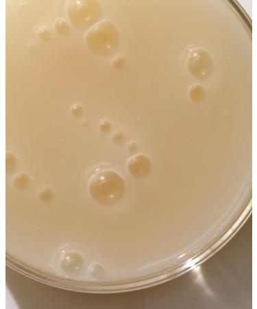 ARKIVE The Root-ine Scalp Serum 50ml - Dandruff Scalp Treatment Serum - Vegan Hair Serum for Hair Growth - Dry Scalp Oil I Scalp Moisturiser - Dry Scalp Treatments - Hair Oil for Dry Scalp - Buy Online on GoSupps.com